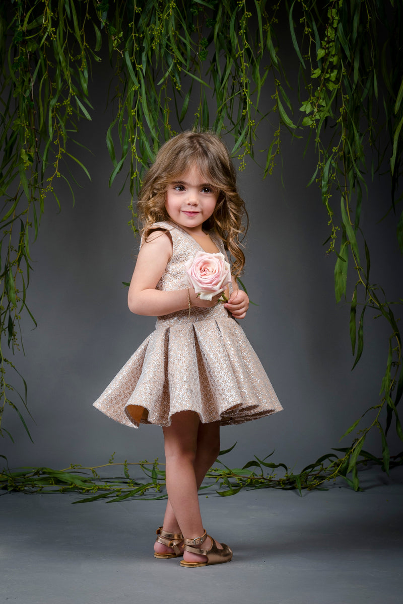 The Cinderella Dress
