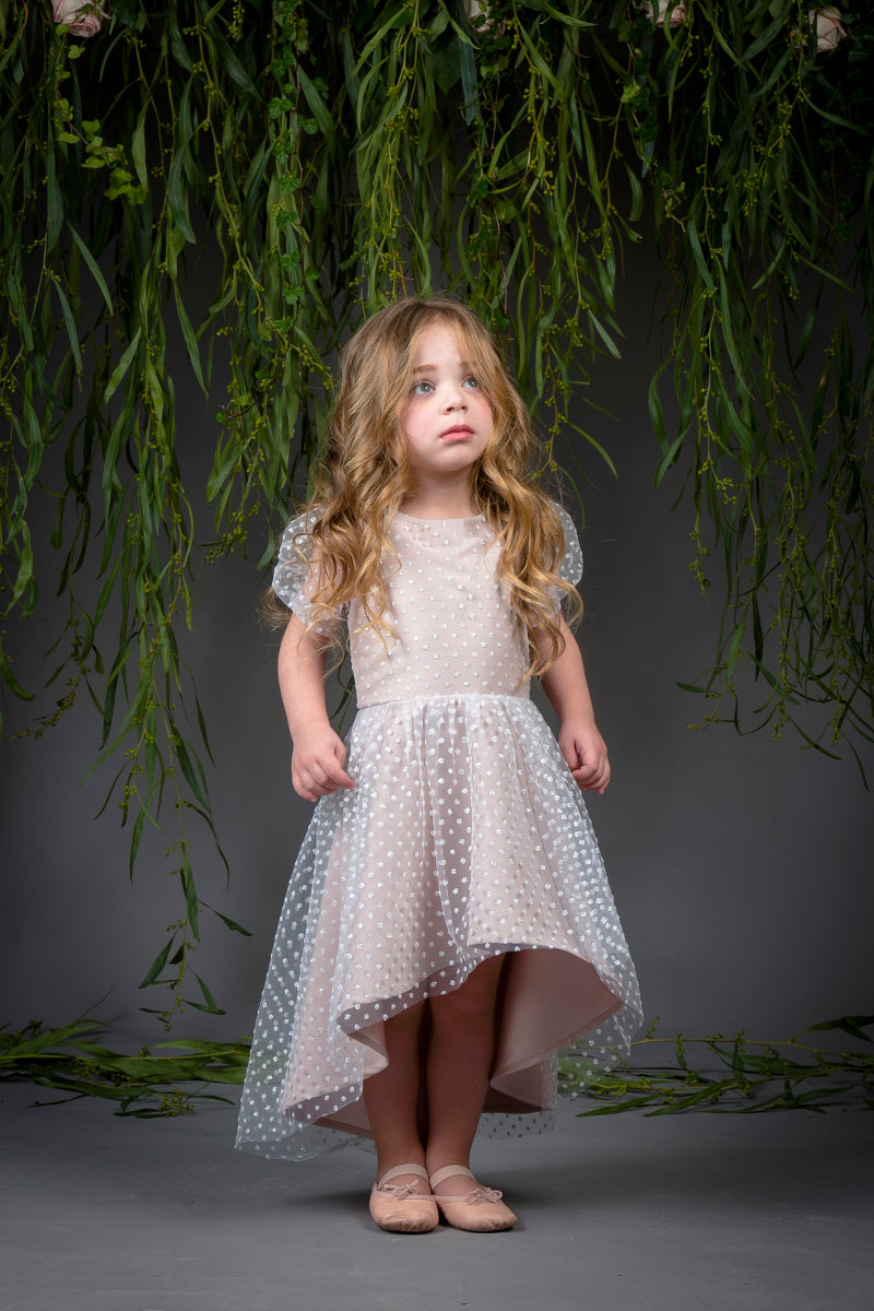 The Mary Dress