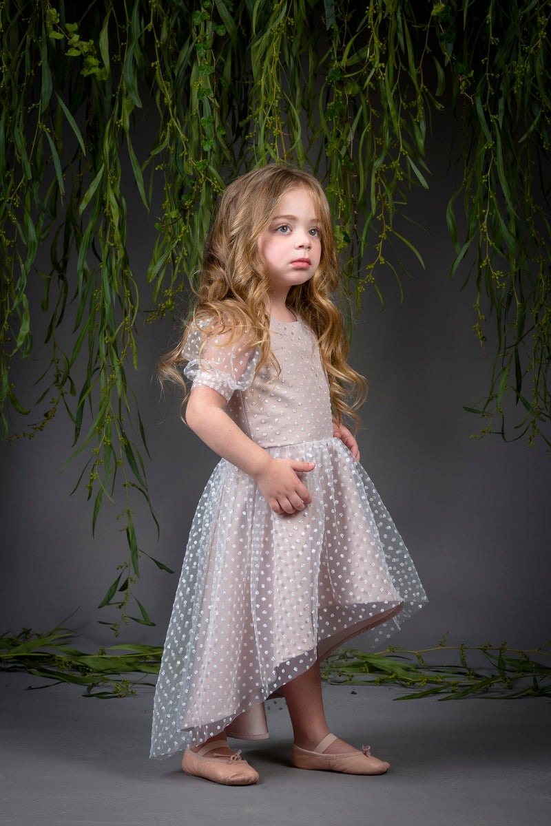 The Mary Dress
