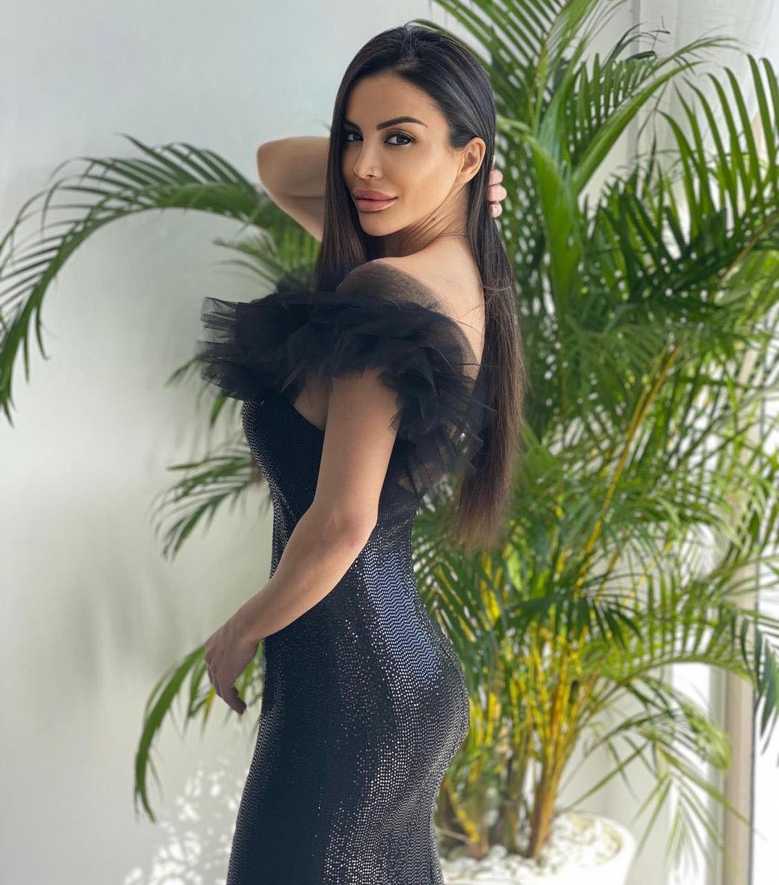 Black mamba