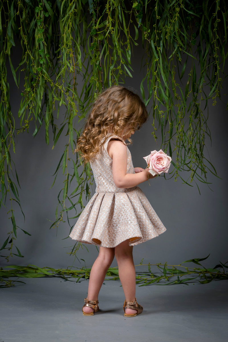 The Cinderella Dress