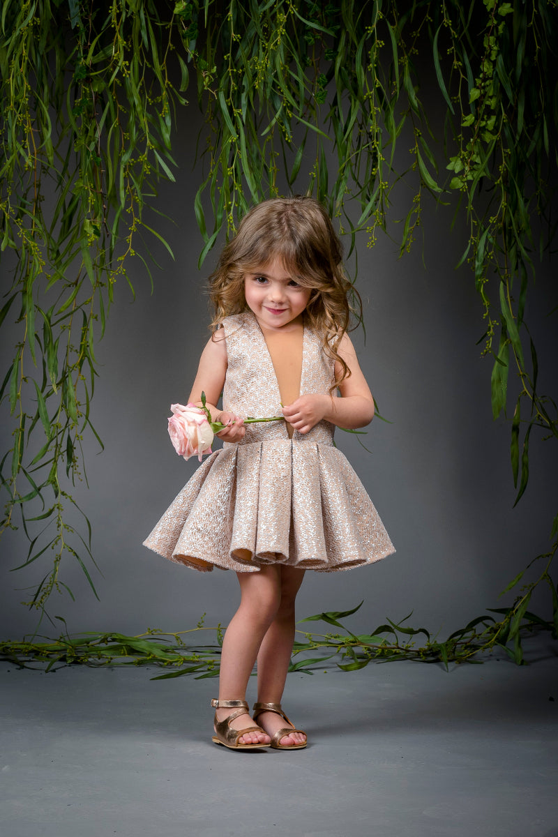 The Cinderella Dress
