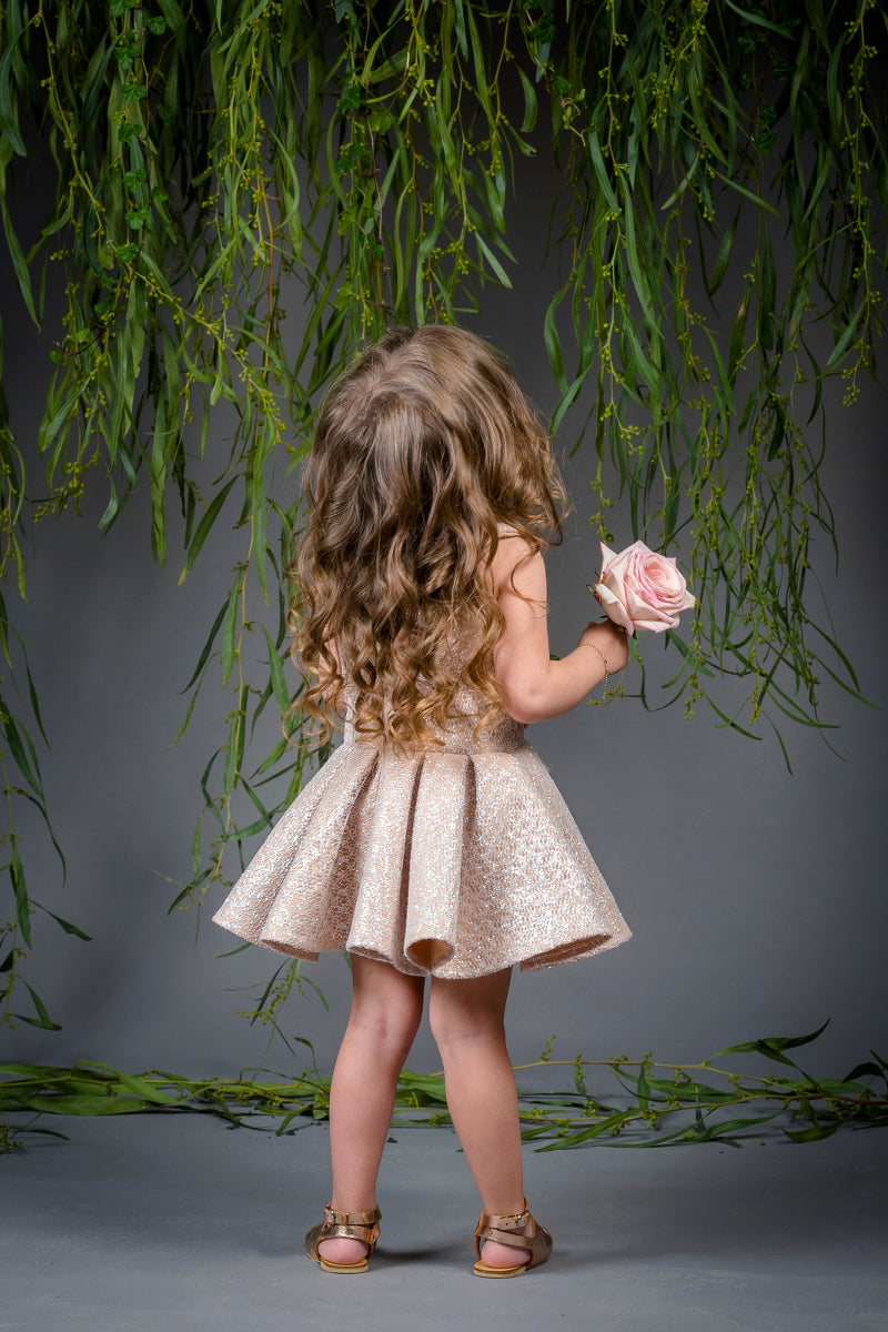 The Cinderella Dress